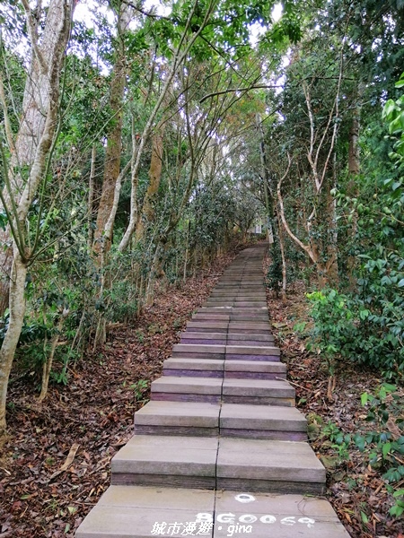 IMG_20210101_113152.jpg IMG_20210101_113152.jpg