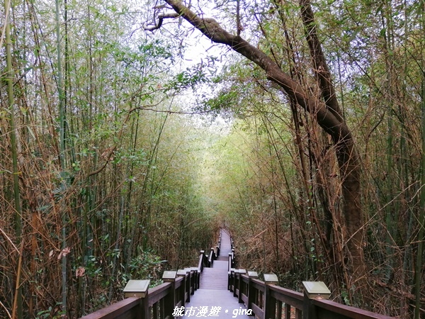 IMG_20210101_113624.jpg IMG_20210101_113624.jpg