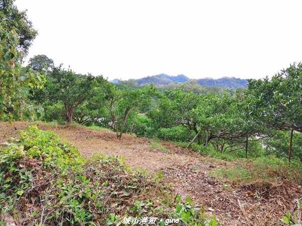 IMG_20210101_113700.jpg IMG_20210101_113700.jpg