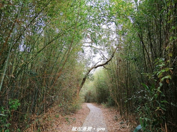 IMG_20210101_114420.jpg IMG_20210101_114420.jpg