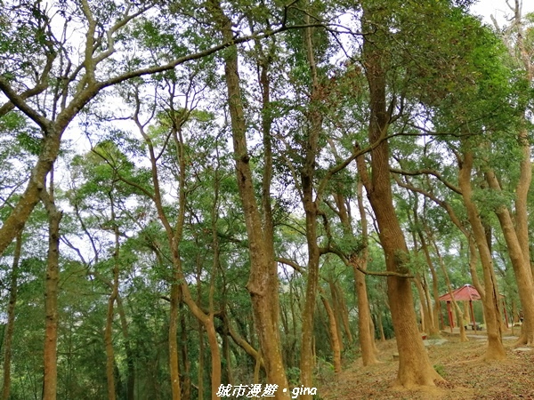 IMG_20210101_114521.jpg IMG_20210101_114521.jpg