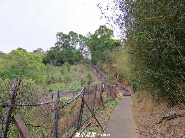 IMG_20210101_114741.jpg IMG_20210101_114741.jpg