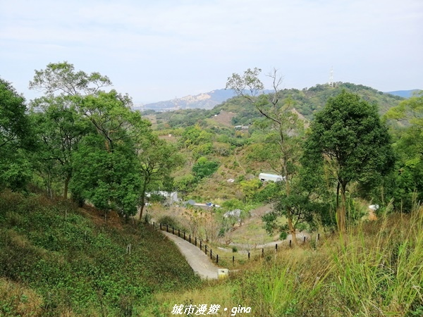 IMG_20210101_114832.jpg IMG_20210101_114832.jpg