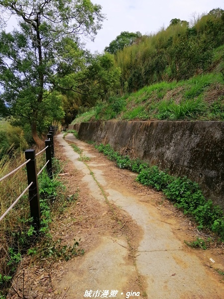 IMG_20210101_114836.jpg IMG_20210101_114836.jpg