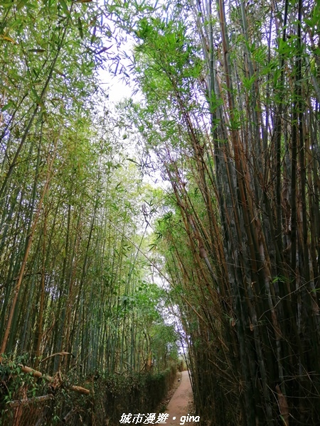 IMG_20210101_115051.jpg IMG_20210101_115051.jpg