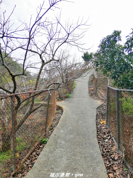 IMG_20210101_115325.jpg IMG_20210101_115325.jpg