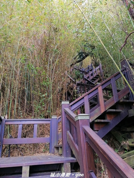 IMG_20210101_115835.jpg IMG_20210101_115835.jpg