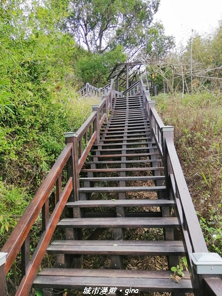 IMG_20210101_115710.jpg IMG_20210101_115710.jpg