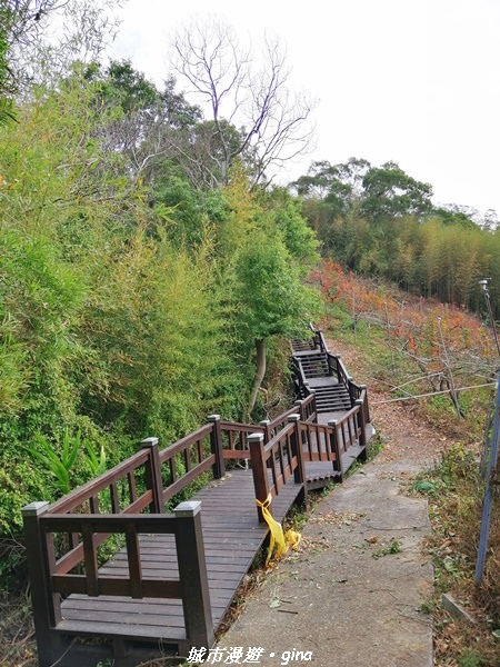 IMG_20210101_115616.jpg IMG_20210101_115616.jpg