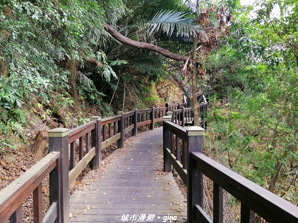 IMG_20210101_120238.jpg IMG_20210101_120238.jpg