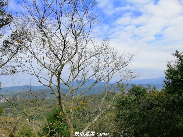 IMG_20210101_120943.jpg IMG_20210101_120943.jpg