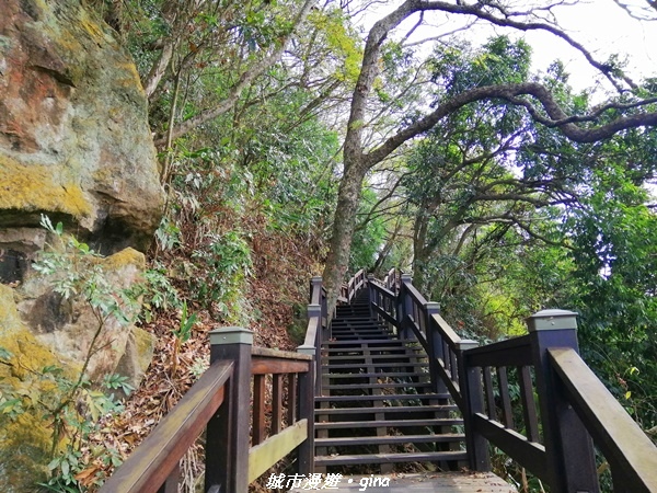 IMG_20210101_120123.jpg IMG_20210101_120123.jpg