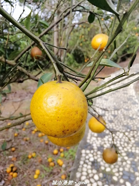 IMG_20210101_121039.jpg IMG_20210101_121039.jpg