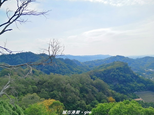 IMG_20210101_122203_1.jpg IMG_20210101_122203_1.jpg