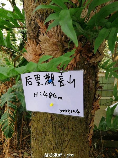 IMG_20210101_122713.jpg IMG_20210101_122713.jpg