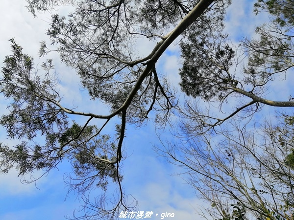 IMG_20210101_122816.jpg IMG_20210101_122816.jpg