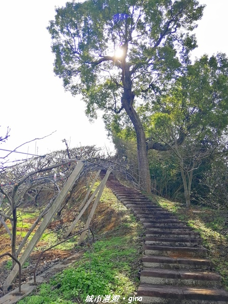 IMG_20210101_123145.jpg IMG_20210101_123145.jpg