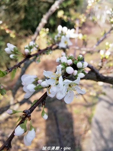 IMG_20210101_122926.jpg IMG_20210101_122926.jpg