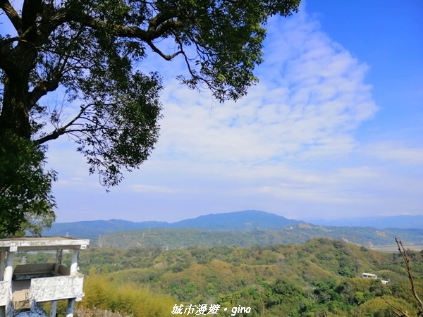 IMG_20210101_123055.jpg IMG_20210101_123055.jpg