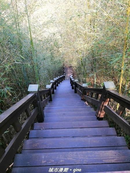 IMG_20210101_123421.jpg IMG_20210101_123421.jpg