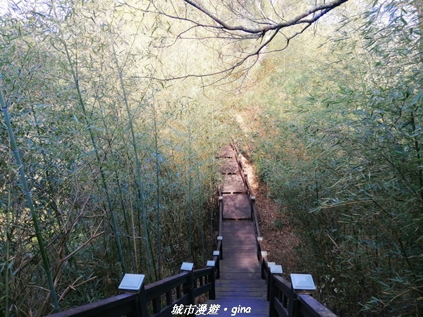 IMG_20210101_123520.jpg IMG_20210101_123520.jpg