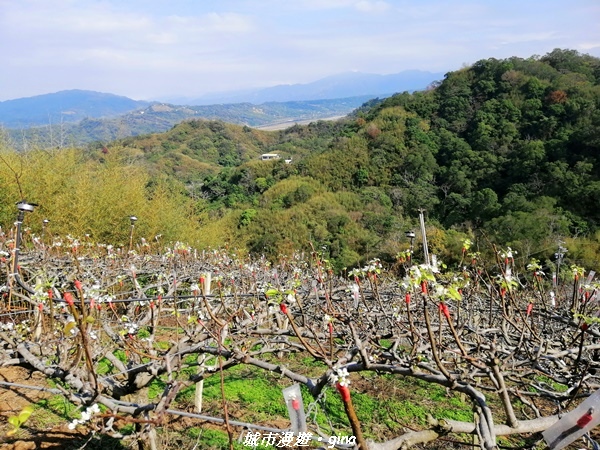 IMG_20210101_123214.jpg IMG_20210101_123214.jpg