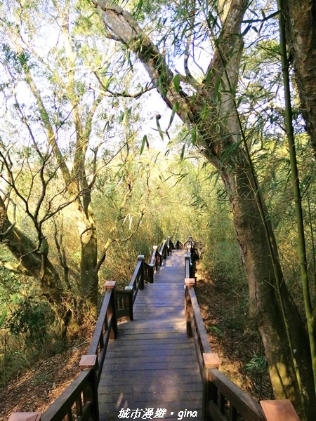 IMG_20210101_124649.jpg IMG_20210101_124649.jpg