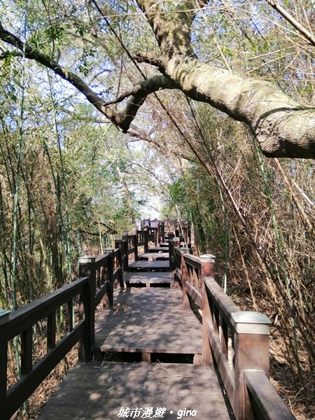 IMG_20210101_123605.jpg IMG_20210101_123605.jpg