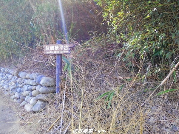 IMG_20210101_125033.jpg IMG_20210101_125033.jpg