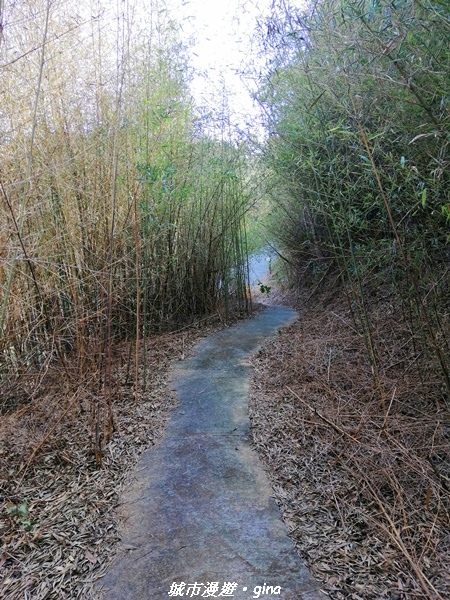 IMG_20210101_124856.jpg IMG_20210101_124856.jpg