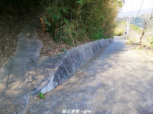 IMG_20210101_125039.jpg IMG_20210101_125039.jpg