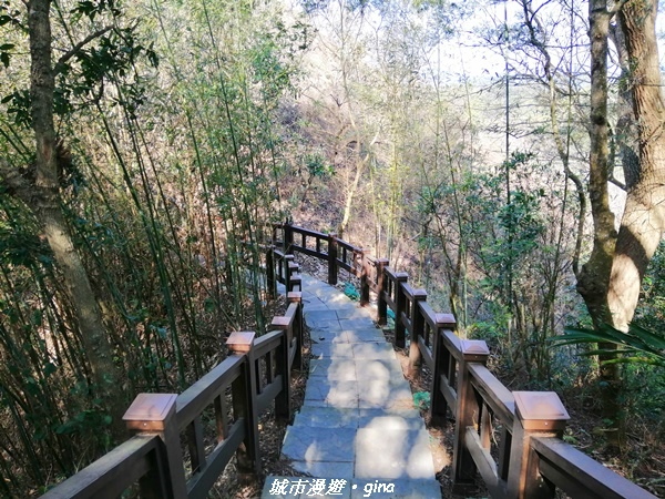 IMG_20210101_125316.jpg IMG_20210101_125316.jpg