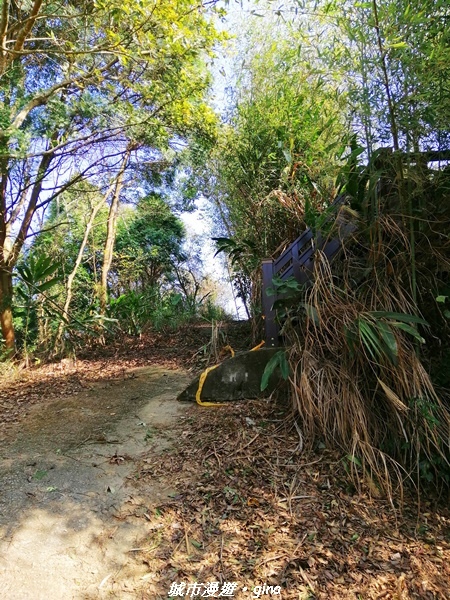 IMG_20210101_130127.jpg IMG_20210101_130127.jpg