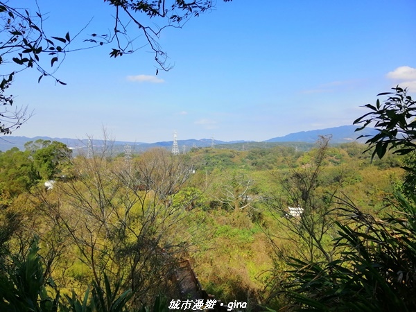 IMG_20210101_125623.jpg IMG_20210101_125623.jpg