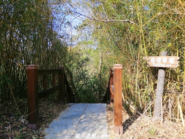 IMG_20210101_125245.jpg IMG_20210101_125245.jpg