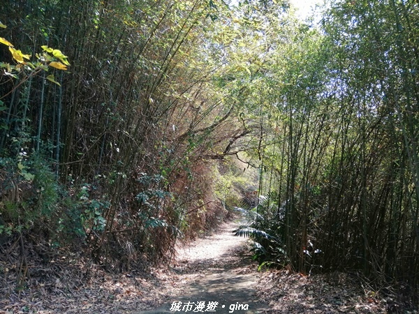 IMG_20210101_130131.jpg IMG_20210101_130131.jpg