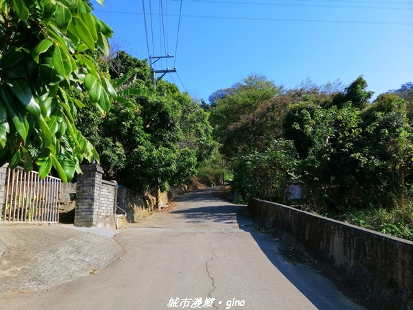 IMG_20210101_131535.jpg IMG_20210101_131535.jpg