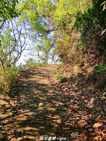 IMG_20210101_130326.jpg IMG_20210101_130326.jpg