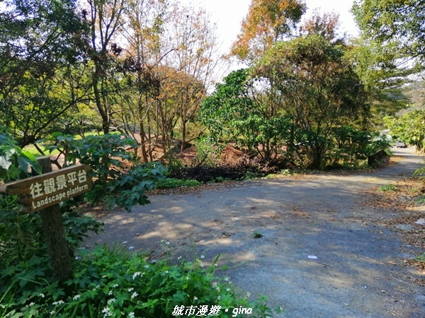 IMG_20210101_131415.jpg IMG_20210101_131415.jpg