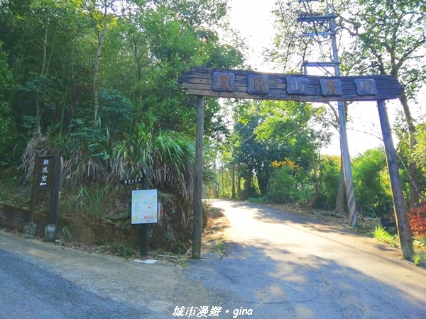 IMG_20210101_133839.jpg IMG_20210101_133839.jpg