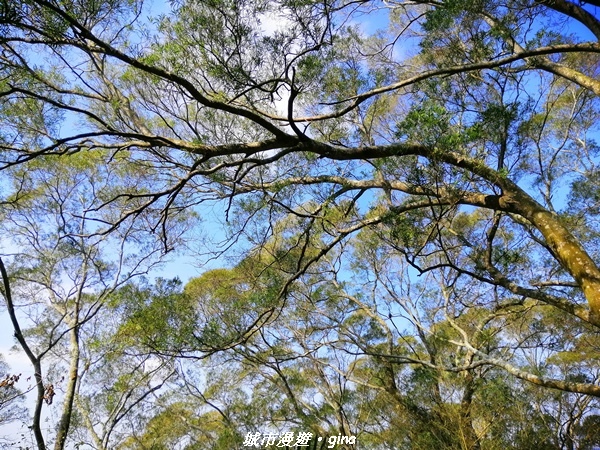 IMG_20210101_134339.jpg IMG_20210101_134339.jpg