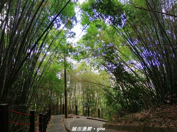 【台中東勢】鄉村風情。 小中嵙登山步道