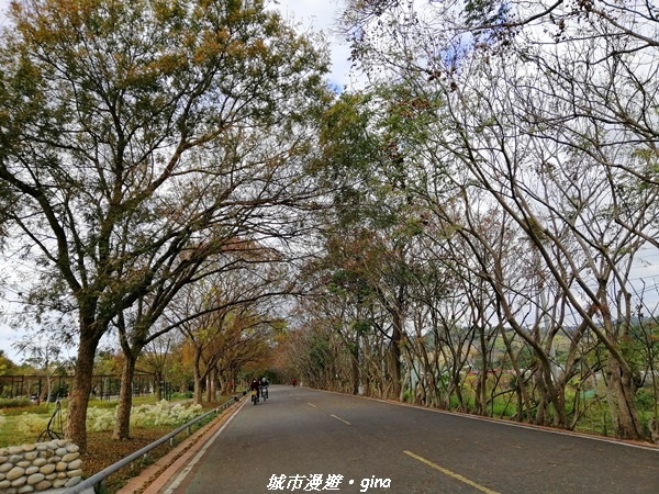 【台中東勢】鄉村風情。 小中嵙登山步道