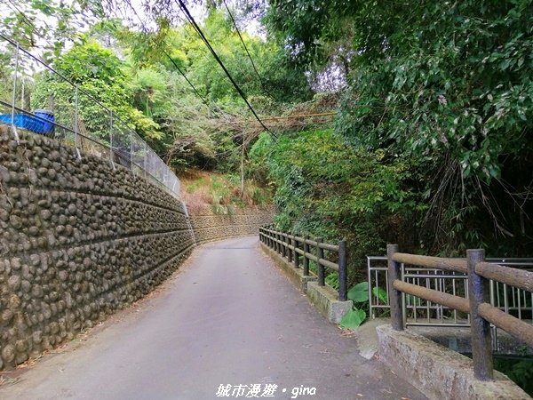 【台中東勢】鄉村風情。 小中嵙登山步道