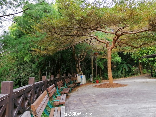 【台中東勢】鄉村風情。 小中嵙登山步道