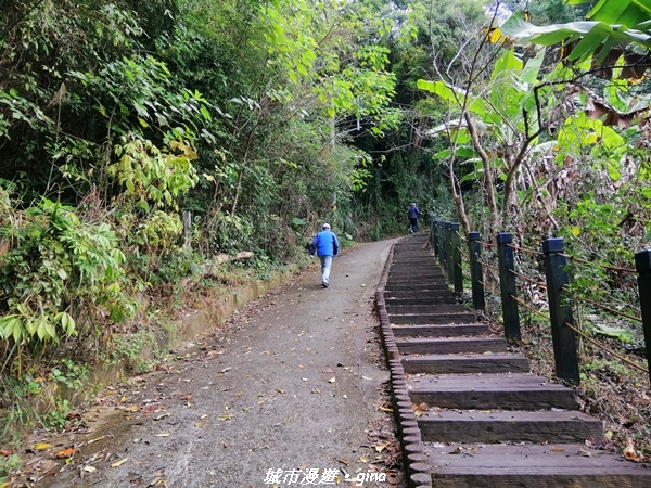 【台中東勢】鄉村風情。 小中嵙登山步道