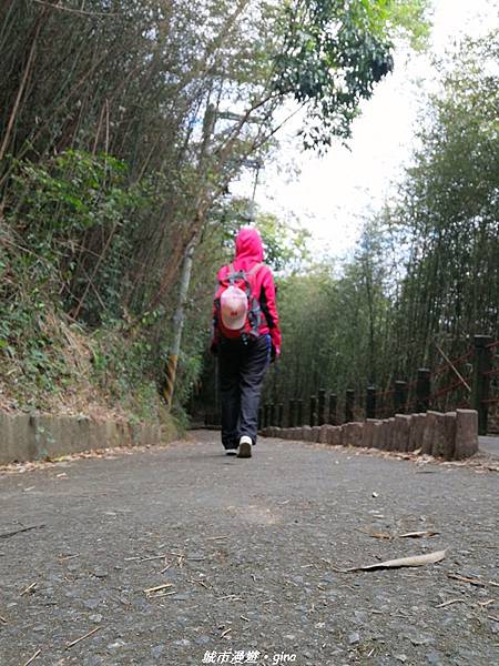 【台中東勢】鄉村風情。 小中嵙登山步道