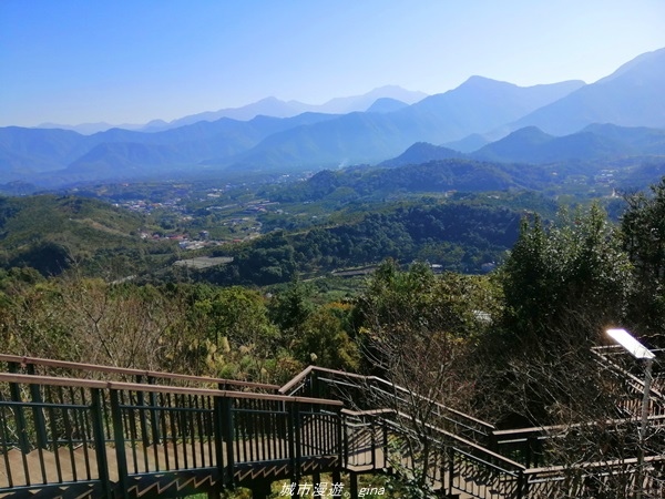 【南投魚池】飽覽層疊山巒賞心悅目。 金龍山步道