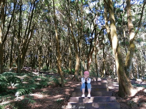 IMG_20210116_093705.jpg IMG_20210116_093705.jpg