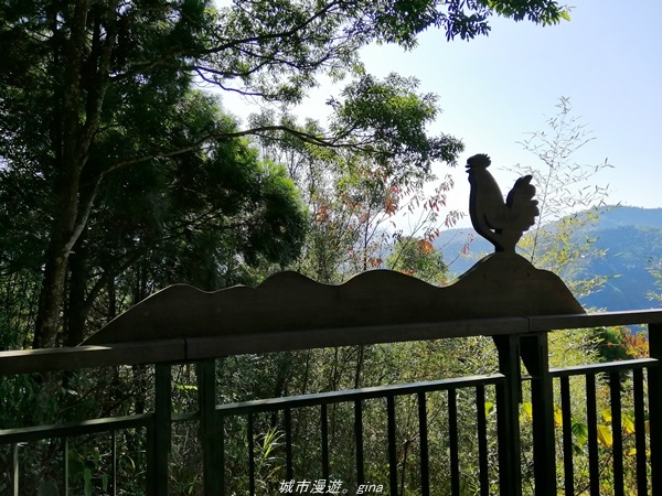 IMG_20210116_095527.jpg IMG_20210116_095527.jpg